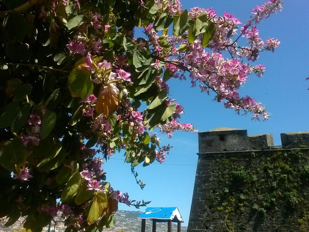 Casa Pico Musica Apartment Funchal  Luaran gambar