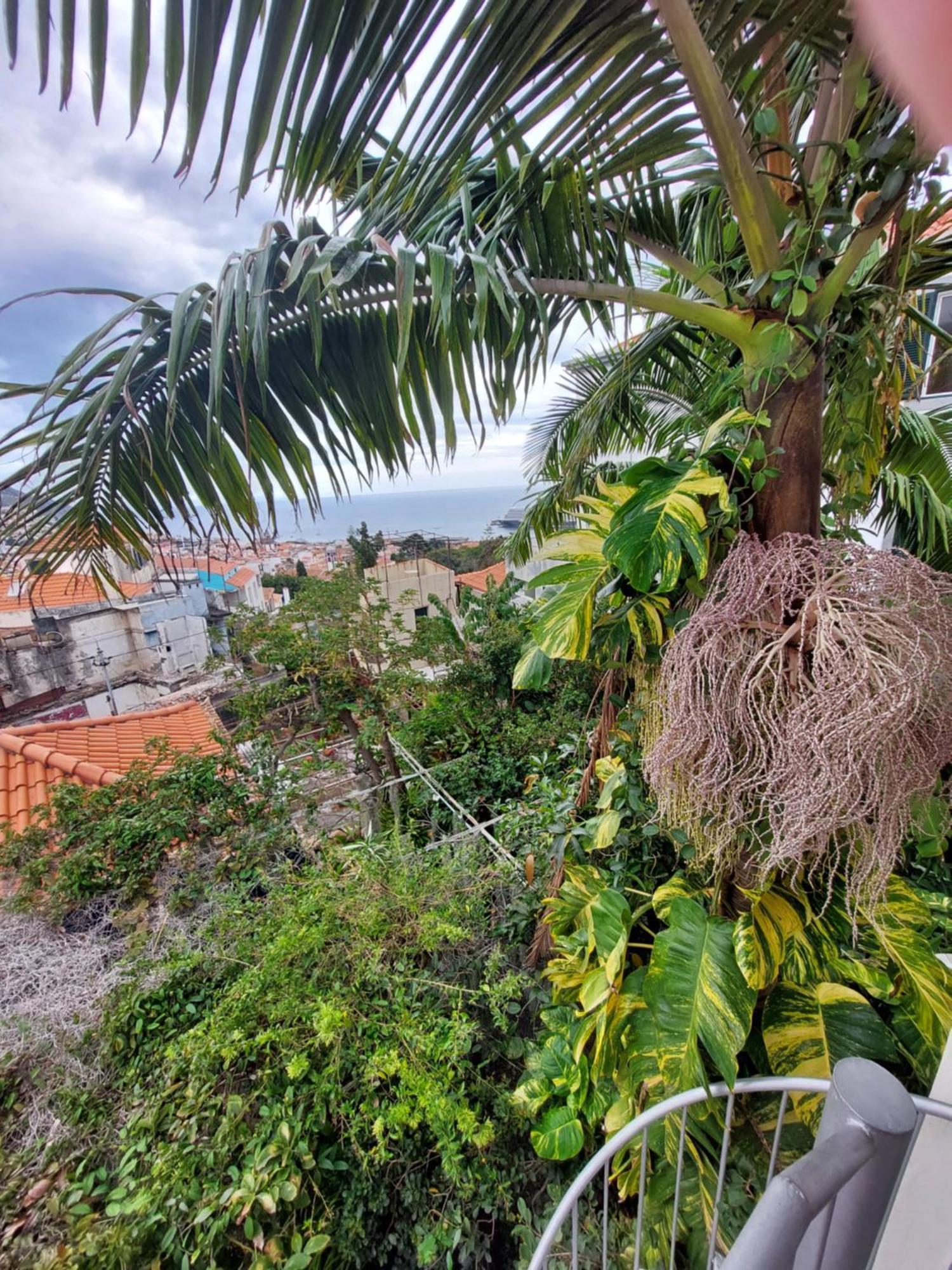 Casa Pico Musica Apartment Funchal  Luaran gambar